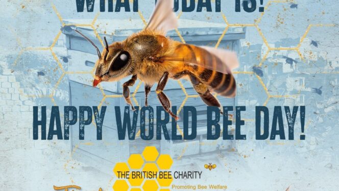 World Bee Day 2023